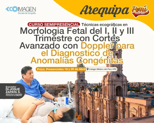 Curso Semipresencial | Técnicas Ecográficas en Morfología Fetal del I, II y III trimestre con cortes avanzado con Doppler para el diagnostico de Anomalías Congénitas | Arequipa Abril