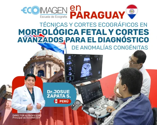 Técnicas y Cortes Ecográficos en Morfología Fetal y Cortes Avanzados para el Diagnóstico de Anomalías Congénitas | Paraguay 2024