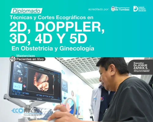 Diplomado |Técnicas y Cortes Ecográficos en Optimización 2D, Doppler, 3D, 4D y 5D en Obstetricia y Ginecología | 2024