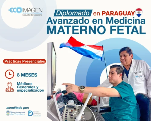 Diplomado | Avanzado en Medicina Materno Fetal Paraguay