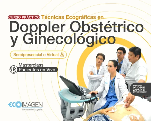 Curso Práctico| Técnicas Ecográficas en Doppler Obstétrico y Ginecológico | Abril