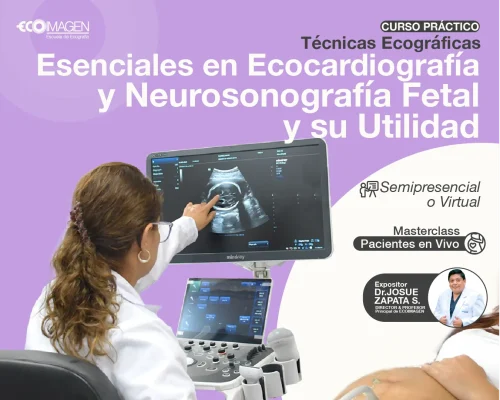 Cursos Prácticos | Técnicas Ecográficas Esenciales en Ecocardiografía y Neurosonografía Fetal y su Utilidad | 2024