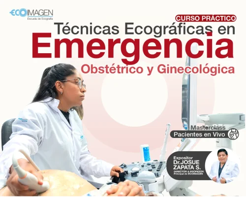 Curso Práctico| Técnicas Ecográficas en Emergencia Obstétrico y Ginecológica | 2024