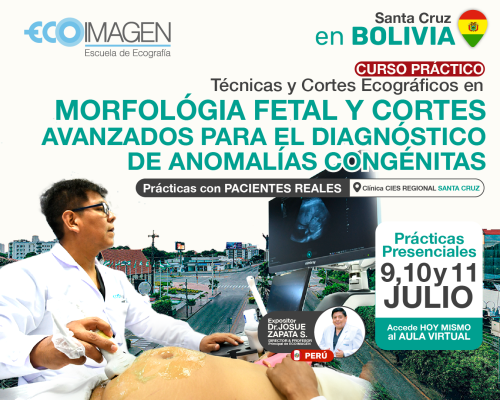 Cursos Prácticos | Técnicas y Cortes Ecográficos en Morfología Fetal y Cortes Avanzados para el Diagnóstico de Anomalías Congénitas | Bolivia 2024
