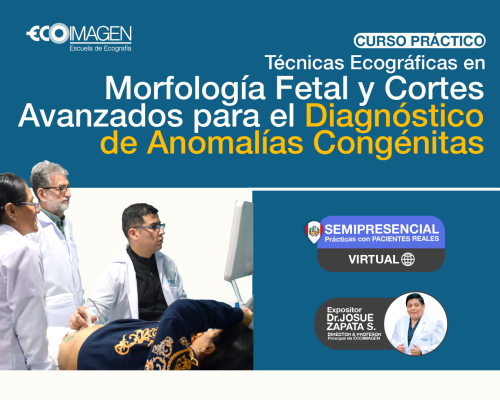 Cursos Prácticos | Técnicas Ecográficas en Morfología Fetal y Cortes Avanzados para el Diagnóstico de Anomalías Congénitas | 2024