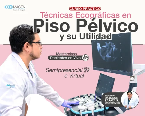 Curso Práctico| Técnicas Ecográficas en Piso Pélvico y su Utilidad | 2024
