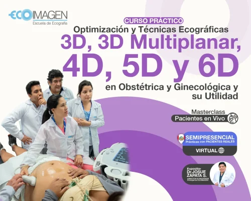 Curso Práctico| Técnicas Ecográficas en 3D, 3D Multiplanar, 4D, 5D, 6D en Obstetricia Ginecología y su Utilidad | 2024