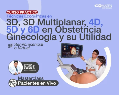 Cursos Prácticos | Técnicas Ecográficas en 3D, 3D Multiplanar, 4D, 5D, 6D en Obstetricia Ginecología y su Utilidad | 2024