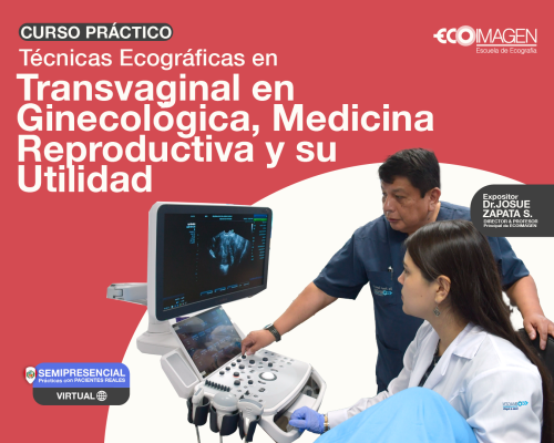 Cursos Prácticos | Técnicas Ecográficas Transvaginal en Ginecológica, Medicina Reproductiva y su Utilidad | 2024