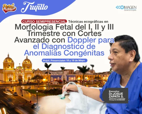 Curso Semipresencial | Técnicas Ecográficas en Morfología Fetal del I, II y III trimestre con cortes avanzado con Doppler para el diagnostico de Anomalías Congénitas | Trujillo Abril