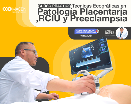 Curso Práctico | Técnicas y Cortes en Patología Placentaria, RCIU y Preeclampsia | 2024